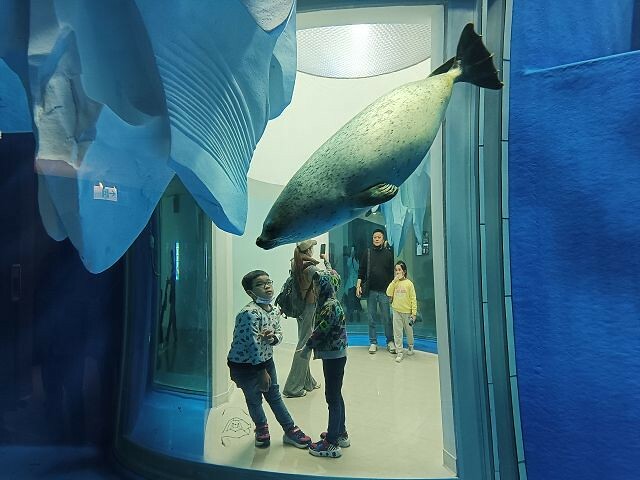 桃園市中壢區Xpark水族館 | 桃園親子景點推薦．探索奇幻的海底世界．療癒感十足的視覺體驗
