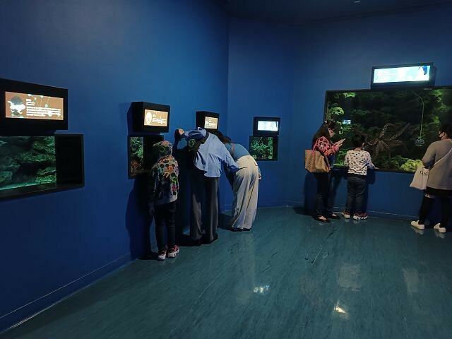 桃園市中壢區Xpark水族館 | 桃園親子景點推薦．探索奇幻的海底世界．療癒感十足的視覺體驗