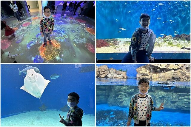 桃園市中壢區Xpark水族館 | 桃園親子景點推薦．探索奇幻的海底世界．療癒感十足的視覺體驗