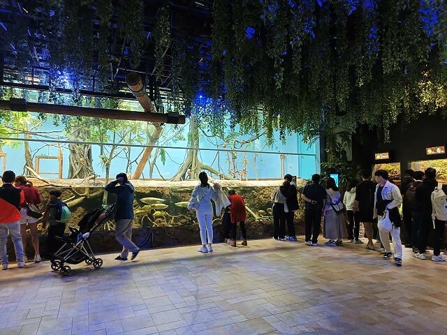 桃園市中壢區Xpark水族館 | 桃園親子景點推薦．探索奇幻的海底世界．療癒感十足的視覺體驗