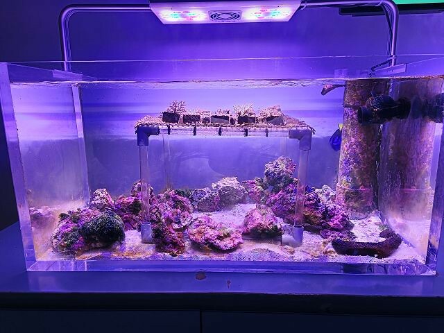 桃園市中壢區Xpark水族館 | 桃園親子景點推薦．探索奇幻的海底世界．療癒感十足的視覺體驗