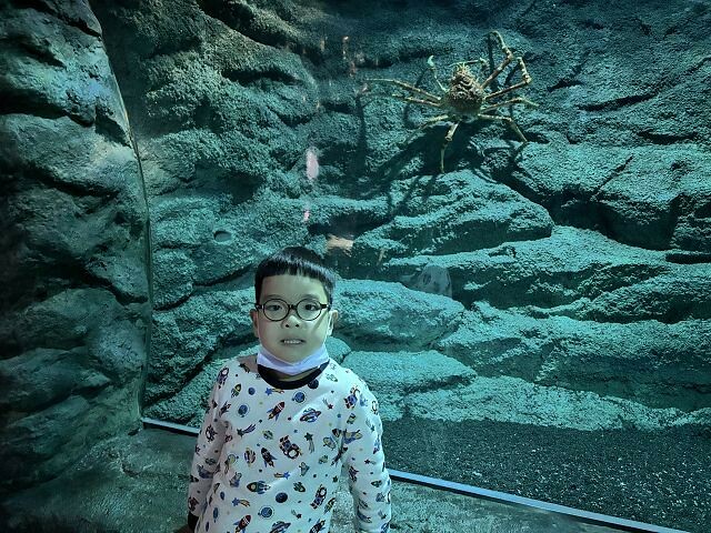 桃園市中壢區Xpark水族館 | 桃園親子景點推薦．探索奇幻的海底世界．療癒感十足的視覺體驗