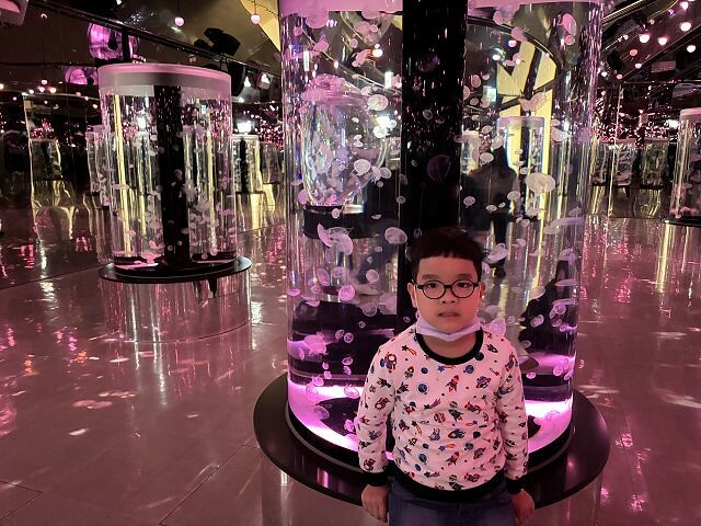 桃園市中壢區Xpark水族館 | 桃園親子景點推薦．探索奇幻的海底世界．療癒感十足的視覺體驗