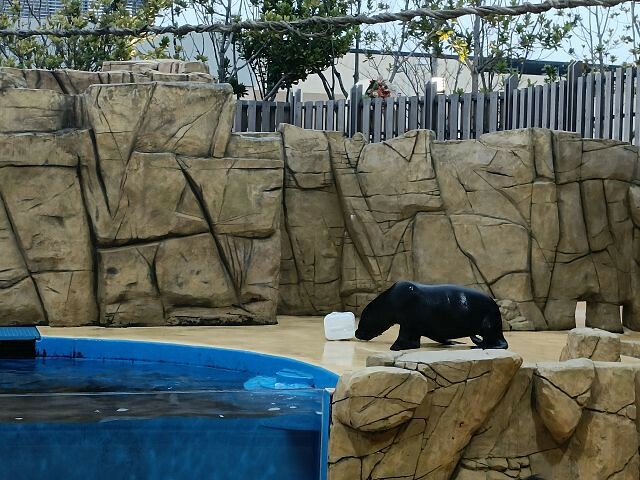 桃園市中壢區Xpark水族館 | 桃園親子景點推薦．探索奇幻的海底世界．療癒感十足的視覺體驗