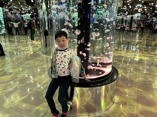 桃園市中壢區Xpark水族館 | 桃園親子景點推薦．探索奇幻的海底世界．療癒感十足的視覺體驗