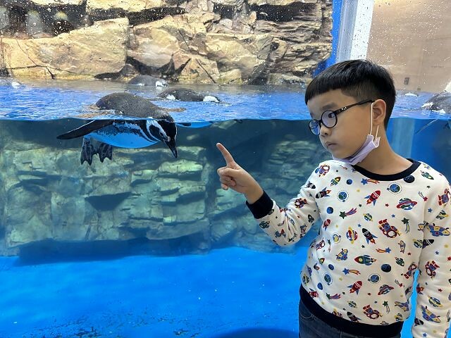 桃園市中壢區Xpark水族館 | 桃園親子景點推薦．探索奇幻的海底世界．療癒感十足的視覺體驗