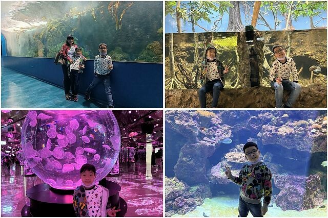 桃園市中壢區Xpark水族館 | 桃園親子景點推薦．探索奇幻的海底世界．療癒感十足的視覺體驗