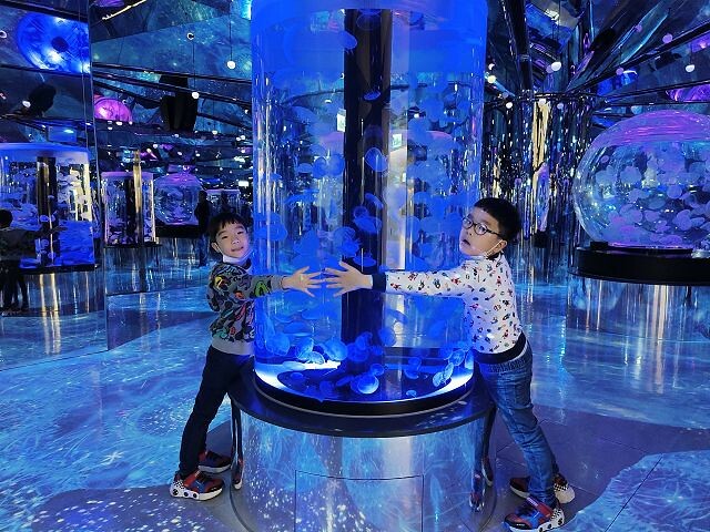 桃園市中壢區Xpark水族館 | 桃園親子景點推薦．探索奇幻的海底世界．療癒感十足的視覺體驗