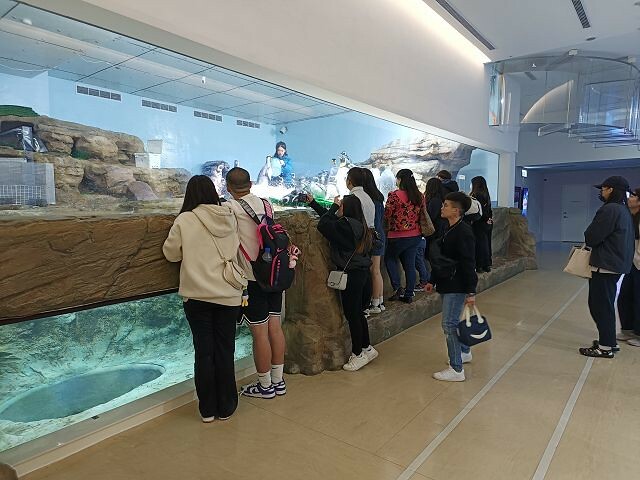 桃園市中壢區Xpark水族館 | 桃園親子景點推薦．探索奇幻的海底世界．療癒感十足的視覺體驗