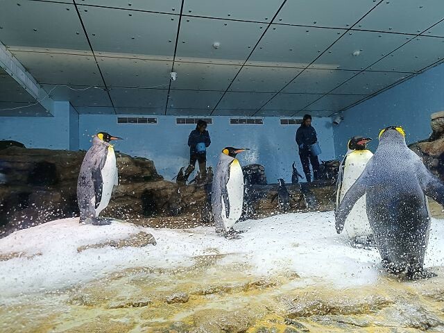 桃園市中壢區Xpark水族館 | 桃園親子景點推薦．探索奇幻的海底世界．療癒感十足的視覺體驗