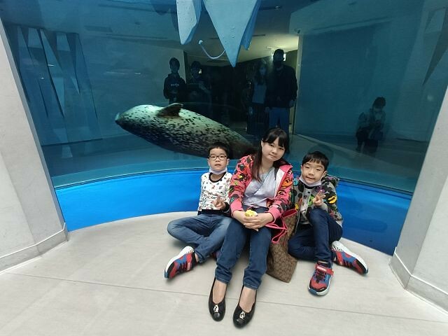 桃園市中壢區Xpark水族館 | 桃園親子景點推薦．探索奇幻的海底世界．療癒感十足的視覺體驗