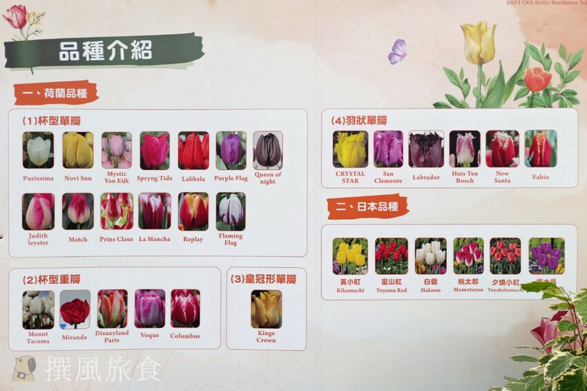 台北市士林區2024士林官邸鬱金香展