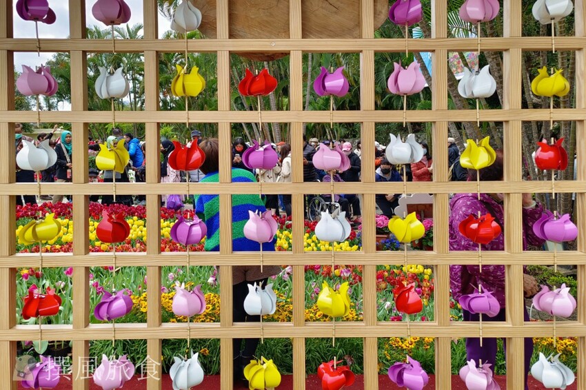 台北市士林區2024士林官邸鬱金香展