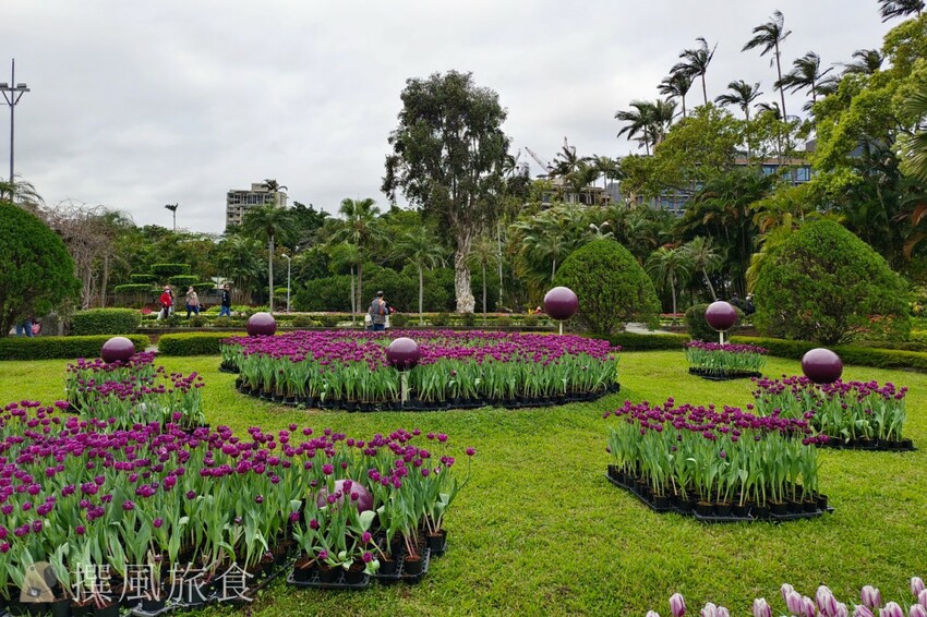 台北市士林區2024士林官邸鬱金香展