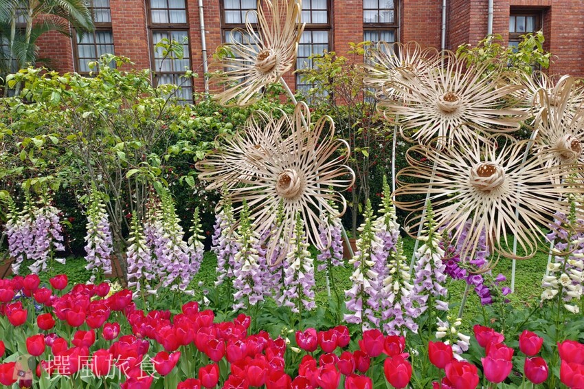 台北市士林區2024士林官邸鬱金香展