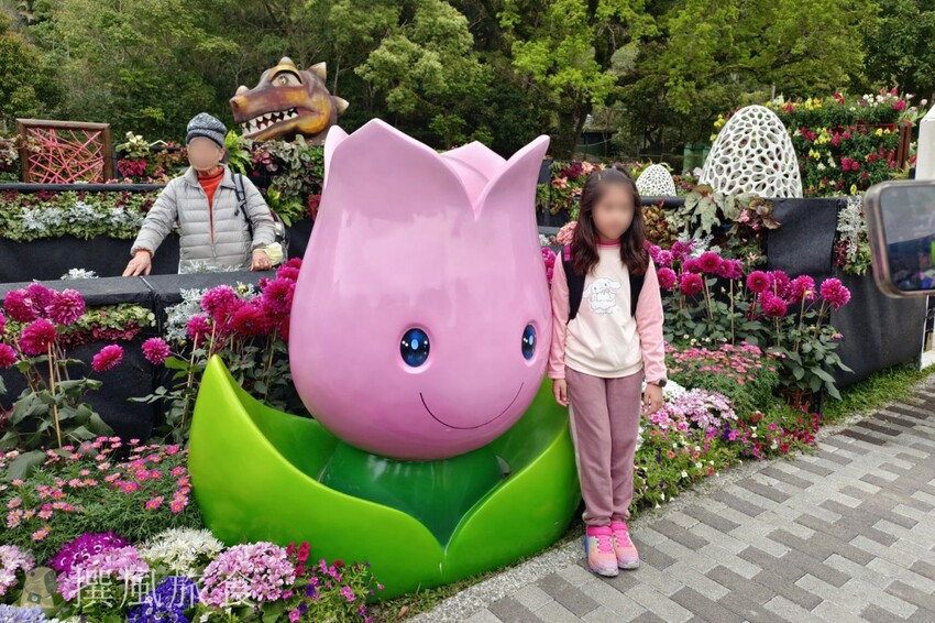 台北市士林區2024士林官邸鬱金香展