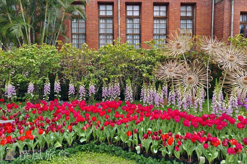 台北市士林區2024士林官邸鬱金香展