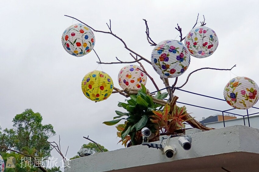 台北市士林區2024士林官邸鬱金香展