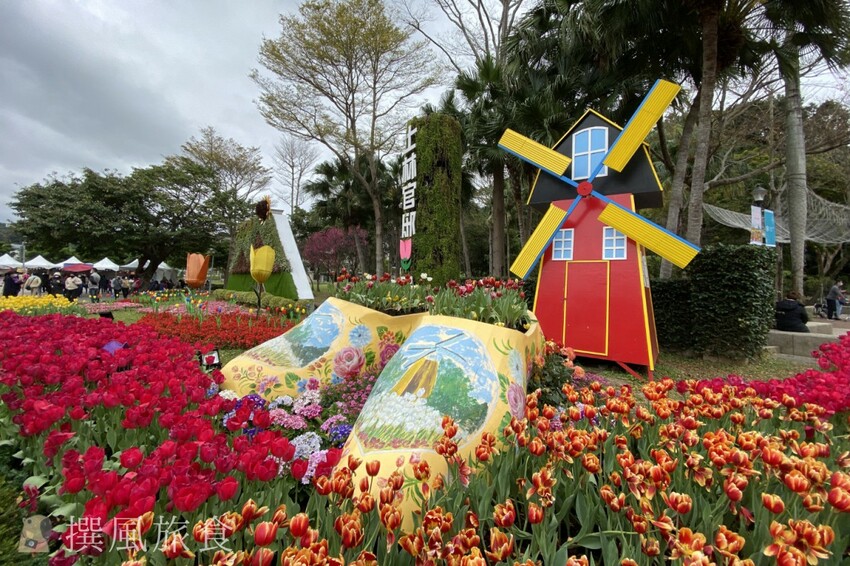 台北市士林區2024士林官邸鬱金香展