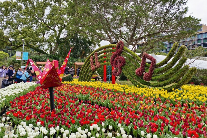 台北市士林區2024士林官邸鬱金香展