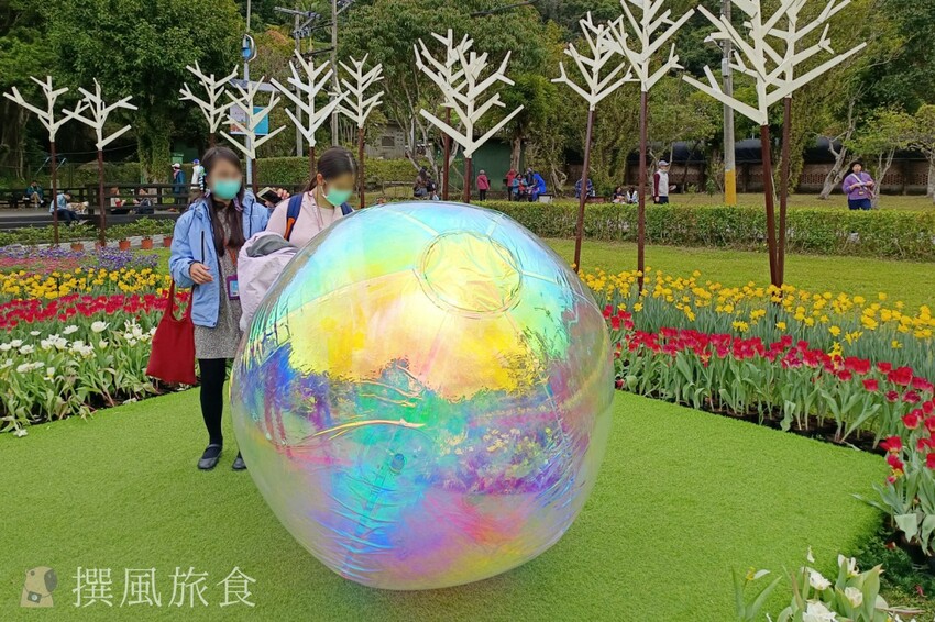 台北市士林區2024士林官邸鬱金香展