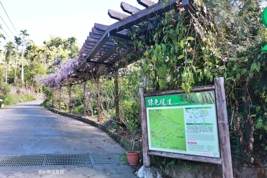 嘉義縣梅山鄉2024嘉義瑞里紫藤花季|漫遊瑞里紫藤花兩日遊行程,跟著嘉義166觀光軸線賞紫藤花廊秘境.咖啡烘焙體驗.竹林