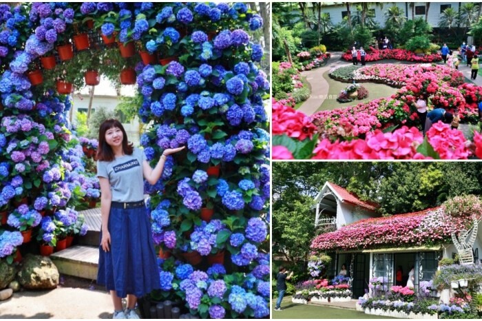 嘉義縣新港鄉嘉義新港香藝文化園區｜最香的網美景點在嘉義！新港香藝現場老師傅製香.香主題文化館.近距離觀賞可愛動物羊