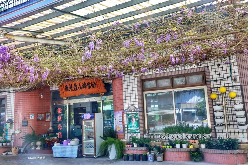 嘉義縣梅山鄉2024嘉義瑞里紫藤花季|漫遊瑞里紫藤花兩日遊行程,跟著嘉義166觀光軸線賞紫藤花廊秘境.咖啡烘焙體驗.竹林