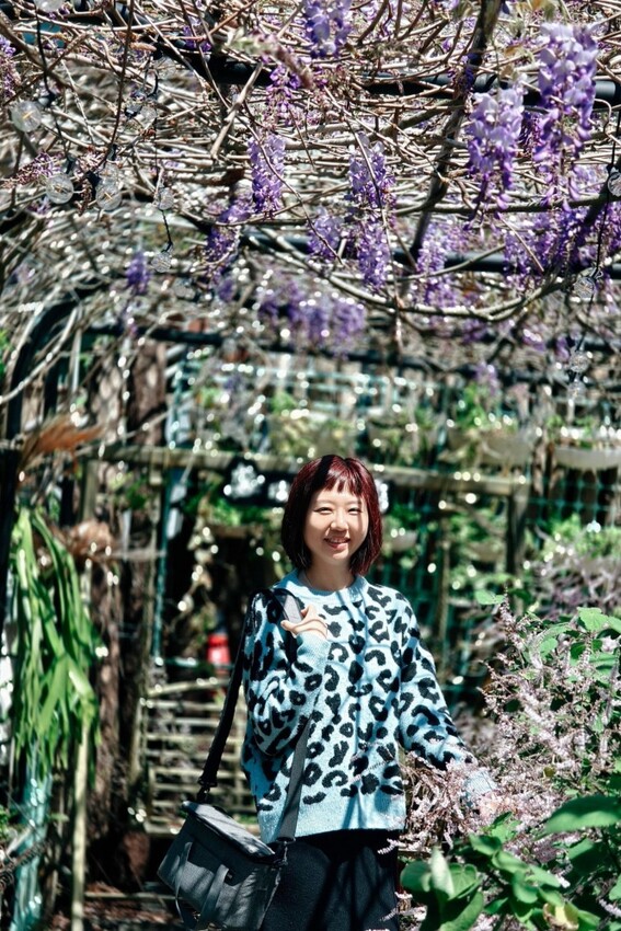 嘉義縣梅山鄉2024嘉義瑞里紫藤花季|漫遊瑞里紫藤花兩日遊行程,跟著嘉義166觀光軸線賞紫藤花廊秘境.咖啡烘焙體驗.竹林