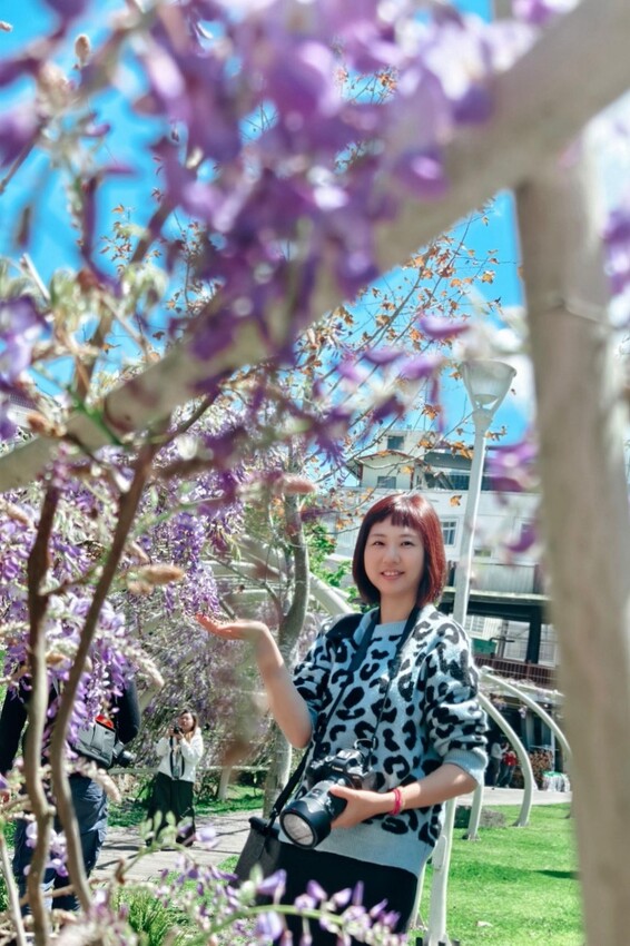 嘉義縣梅山鄉2024嘉義瑞里紫藤花季|漫遊瑞里紫藤花兩日遊行程,跟著嘉義166觀光軸線賞紫藤花廊秘境.咖啡烘焙體驗.竹林