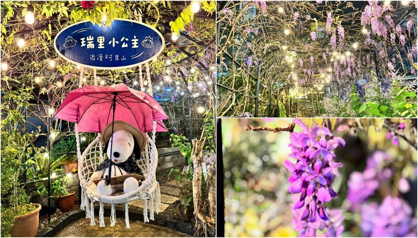 嘉義縣梅山鄉2024嘉義瑞里紫藤花季|漫遊瑞里紫藤花兩日遊行程,跟著嘉義166觀光軸線賞紫藤花廊秘境.咖啡烘焙體驗.竹林