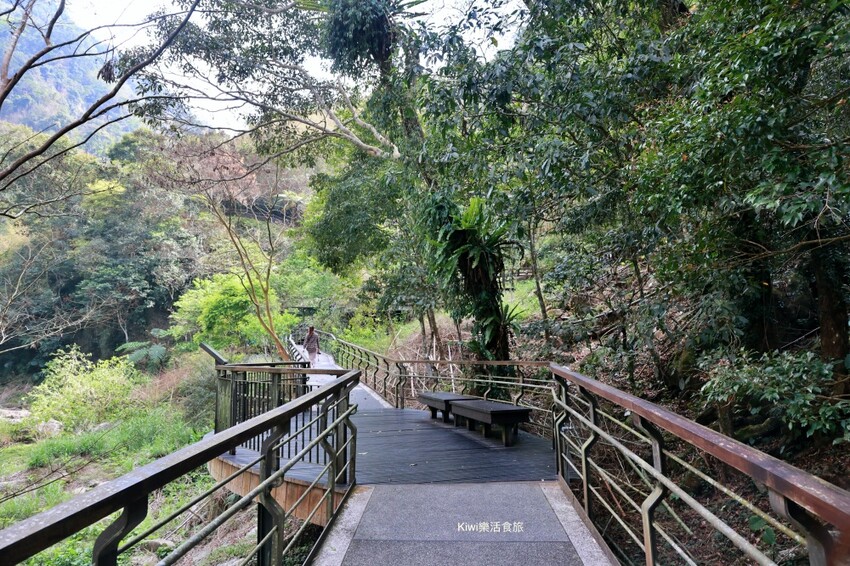 嘉義縣梅山鄉2024嘉義瑞里紫藤花季|漫遊瑞里紫藤花兩日遊行程,跟著嘉義166觀光軸線賞紫藤花廊秘境.咖啡烘焙體驗.竹林