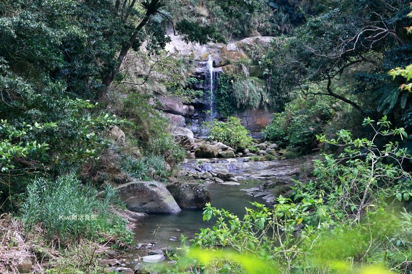 嘉義縣梅山鄉2024嘉義瑞里紫藤花季|漫遊瑞里紫藤花兩日遊行程,跟著嘉義166觀光軸線賞紫藤花廊秘境.咖啡烘焙體驗.竹林