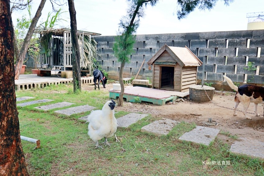 嘉義縣新港鄉嘉義新港香藝文化園區｜最香的網美景點在嘉義！新港香藝現場老師傅製香.香主題文化館.近距離觀賞可愛動物羊
