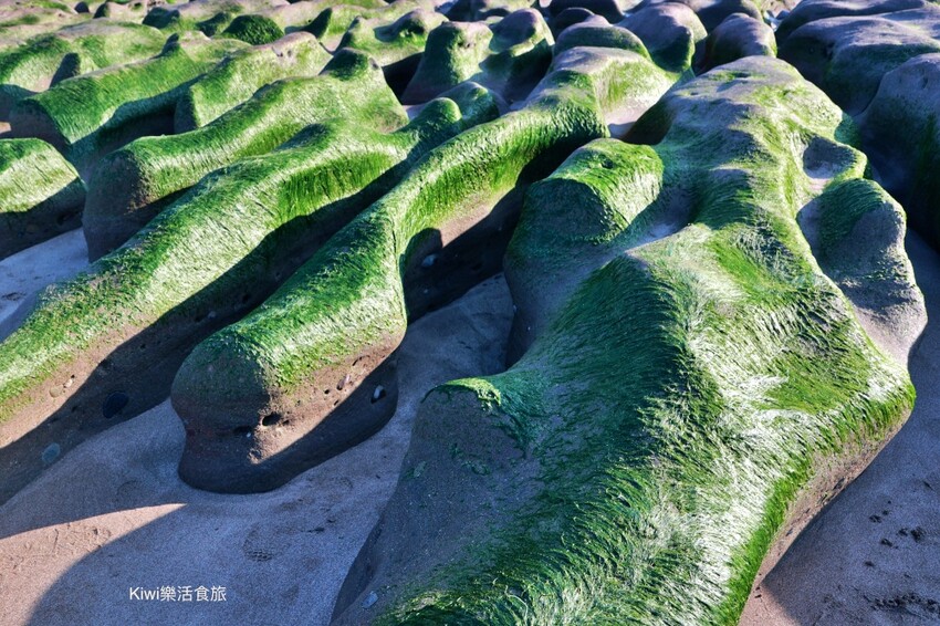 新北市石門區新北石門老梅綠石槽|石門季節限定景點抹茶地毯超療癒!湛藍海洋搭配限定場景只有這裡才有!