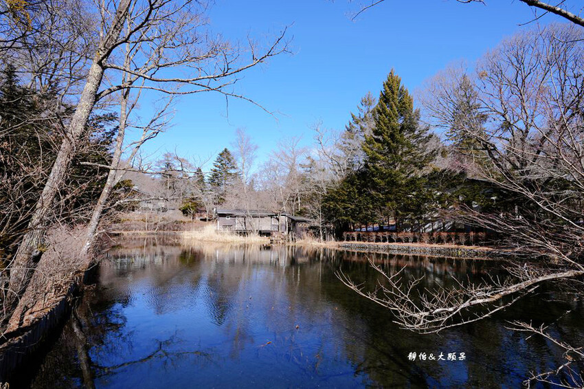東京旅遊 ❙ 雲場池,輕井澤三大名所,賞紅葉、浪漫雪景,日本