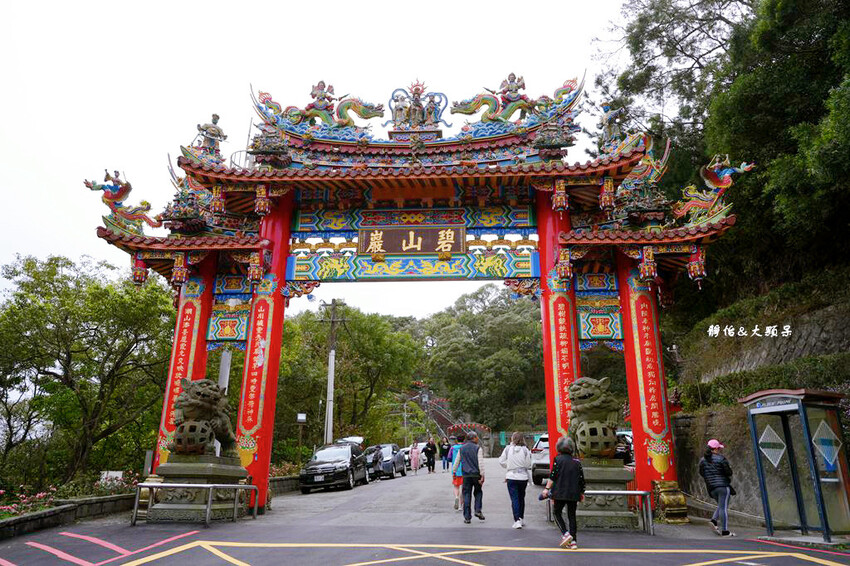 內湖草莓季 ❙ 黃文成草莓園、碧山巖觀景平台與櫻花隧道，內湖