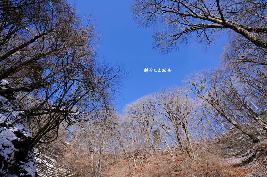 白絲瀑布 ❙ 白雪皚皚白糸の滝，東京近郊旅遊輕井澤景點!