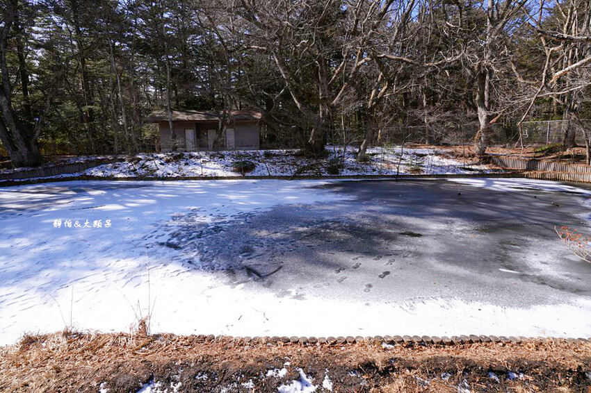 東京旅遊 ❙ 雲場池,輕井澤三大名所,賞紅葉、浪漫雪景,日本