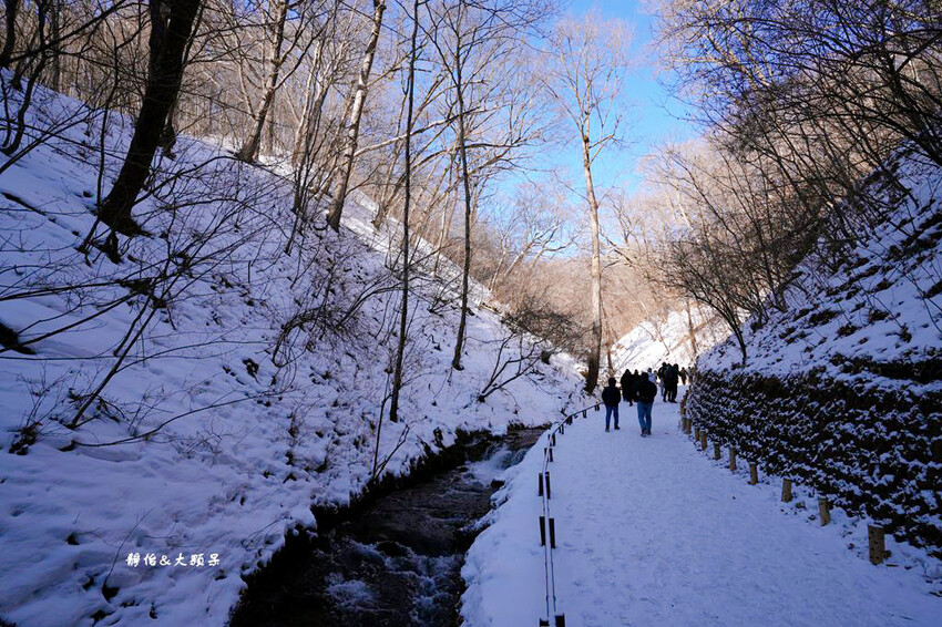 白絲瀑布 ❙ 白雪皚皚白糸の滝，東京近郊旅遊輕井澤景點!
