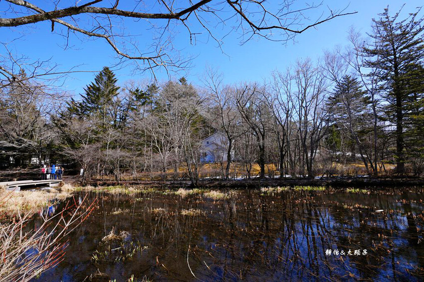 東京旅遊 ❙ 雲場池,輕井澤三大名所,賞紅葉、浪漫雪景,日本