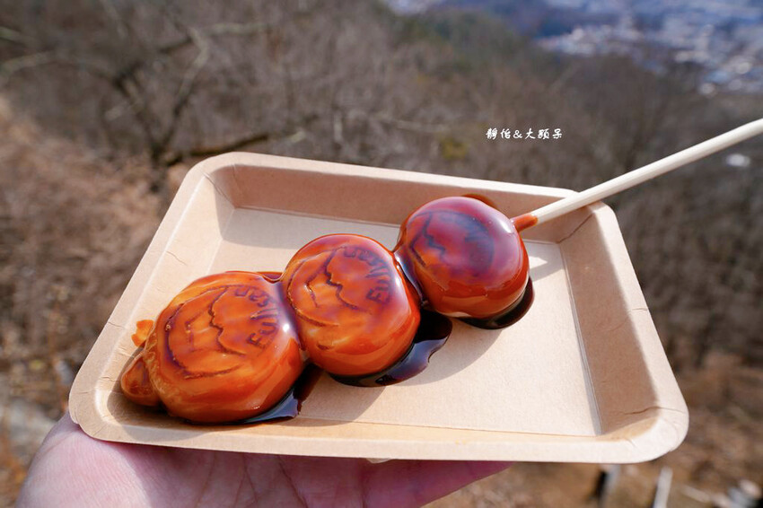 河口湖景點 ❙ 河口湖富士山全景纜車、天上山公園,眺望富士山