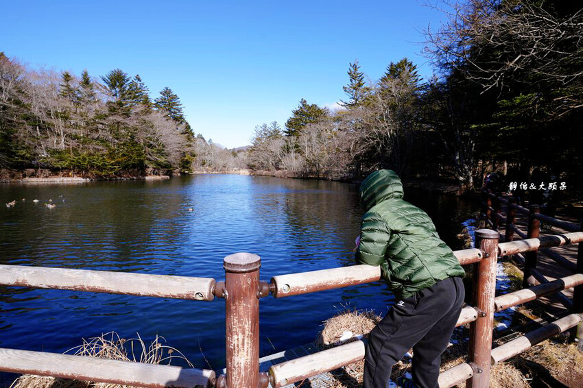 東京旅遊 ❙ 雲場池,輕井澤三大名所,賞紅葉、浪漫雪景,日本