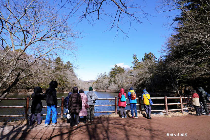 東京旅遊 ❙ 雲場池,輕井澤三大名所,賞紅葉、浪漫雪景,日本