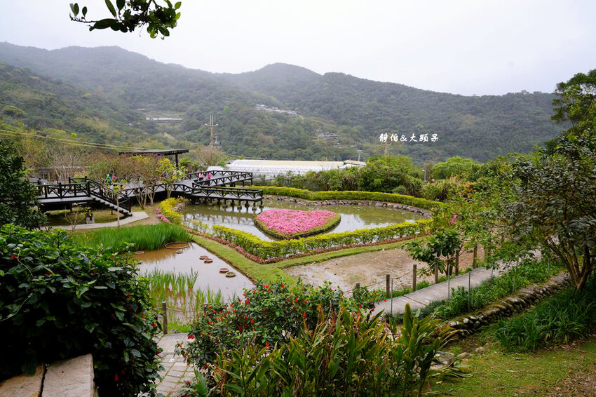 內湖草莓季 ❙ 黃文成草莓園、碧山巖觀景平台與櫻花隧道，內湖