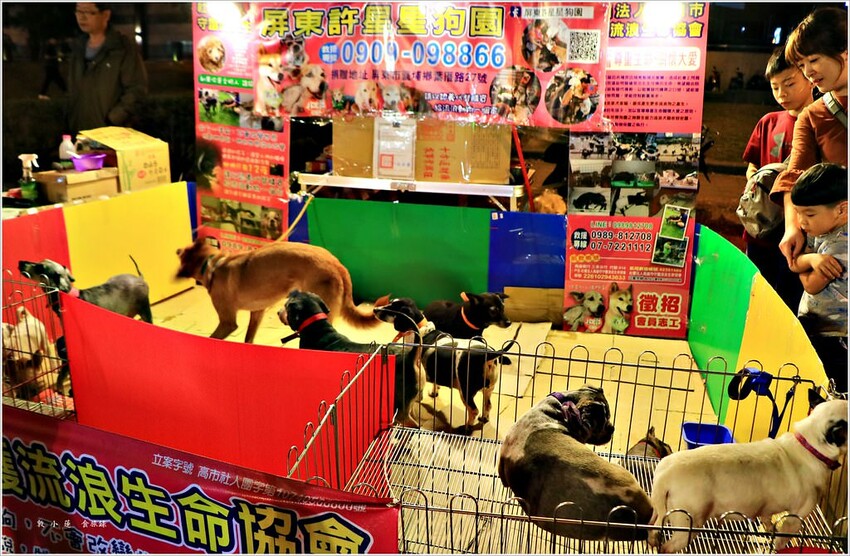 蓮池潭春節限定年街‧一年一次的春節限定 初一至初五 一起熱鬧來過年 - 敦 小 蓮の食旅錄