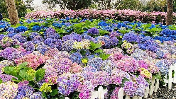 IMG_8876.jpg IMG_8876.jpg