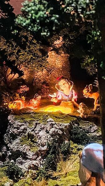 IMG_9222.jpg IMG_9222.jpg