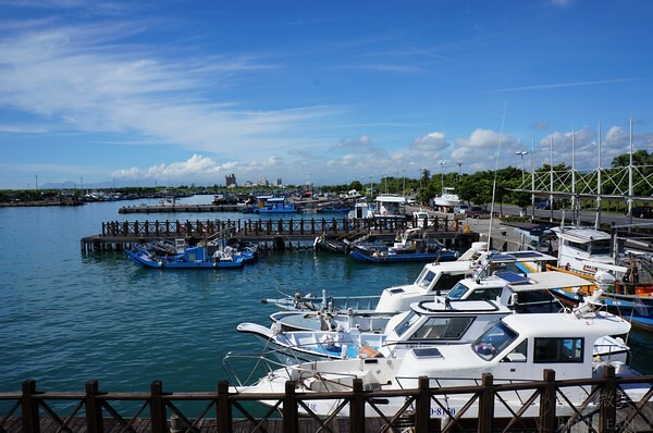 宜蘭縣頭城鎮龜山島賞鯨|龜山島半日遊》賞鯨登島繞島三合一,賞龜山島八景,牛奶海立槳好好玩
