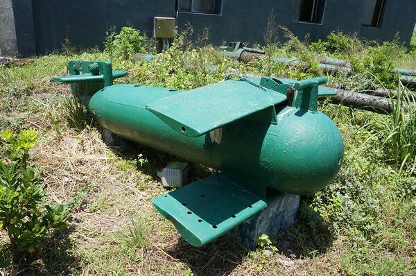 宜蘭縣頭城鎮龜山島賞鯨|龜山島半日遊》賞鯨登島繞島三合一,賞龜山島八景,牛奶海立槳好好玩